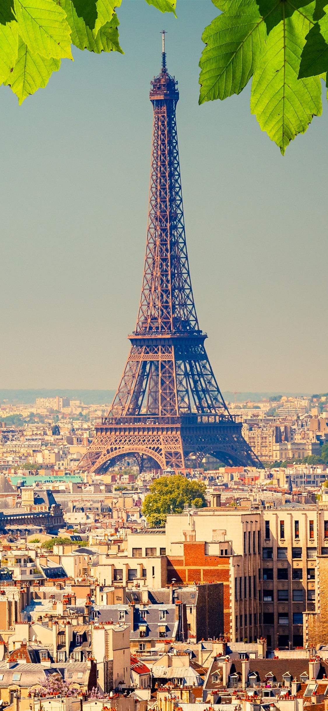 Detail Eiffel Tower Iphone Background Nomer 8