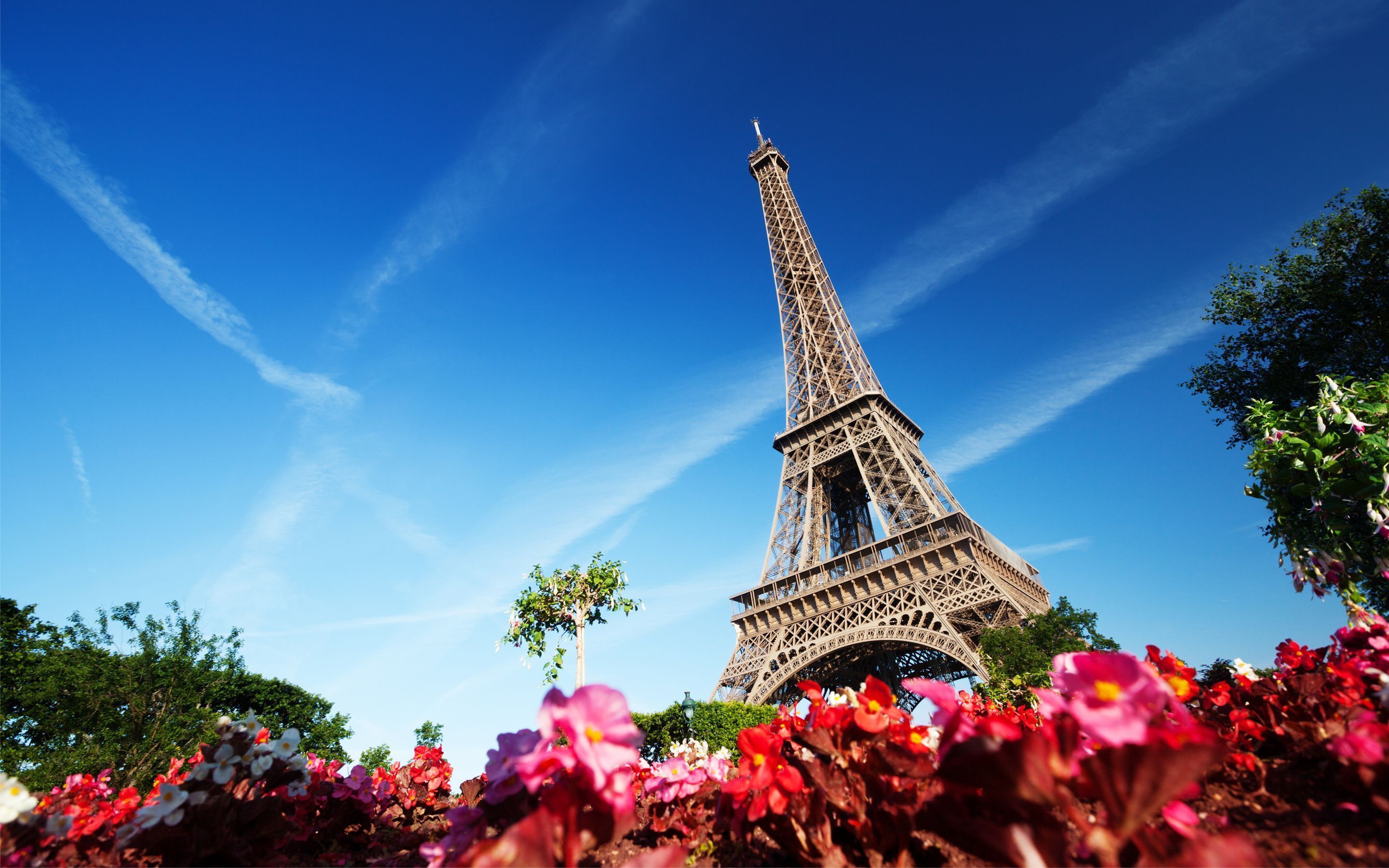 Detail Eiffel Tower Photo Background Nomer 13