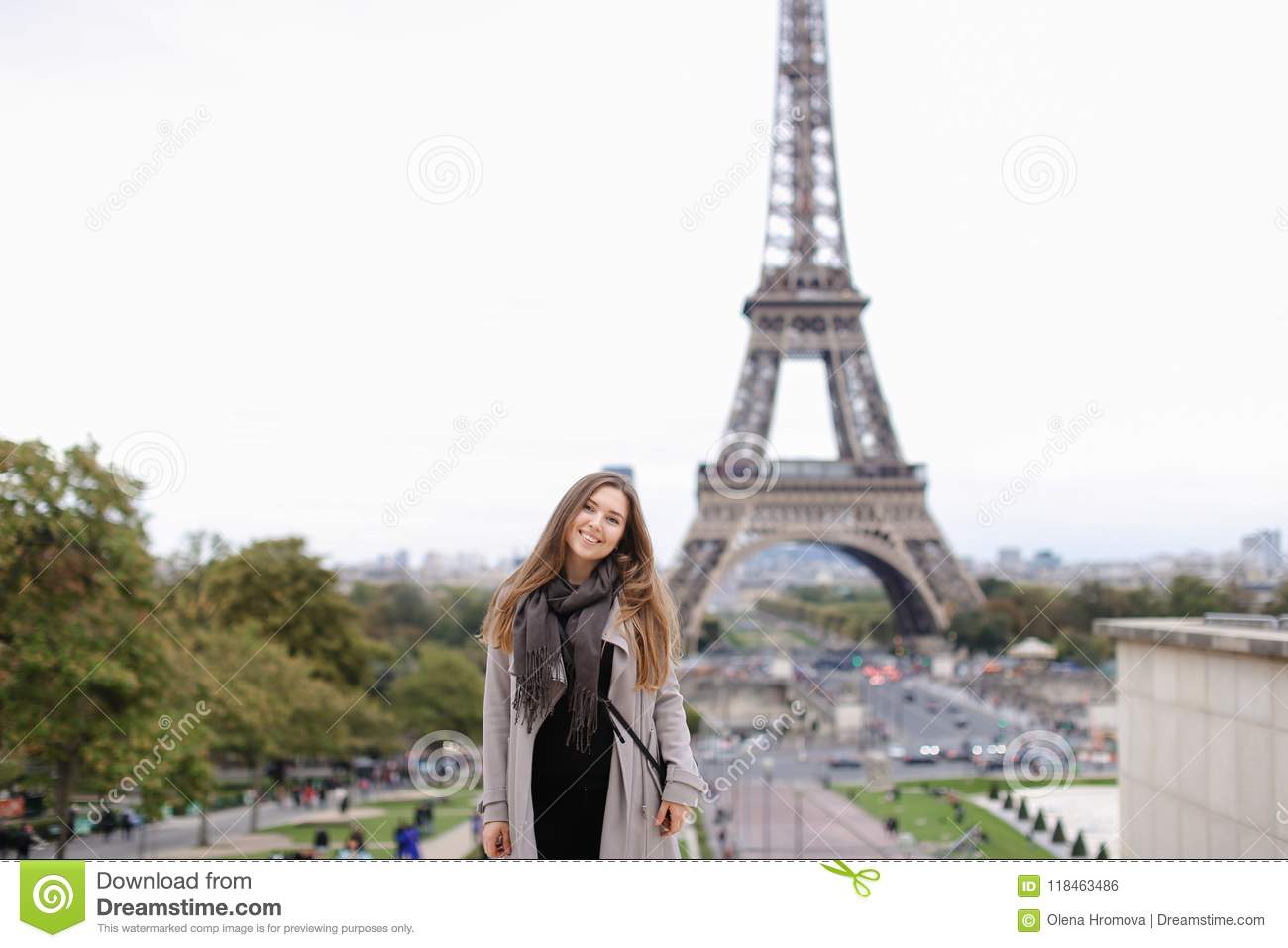 Detail Eiffel Tower Photo Background Nomer 32