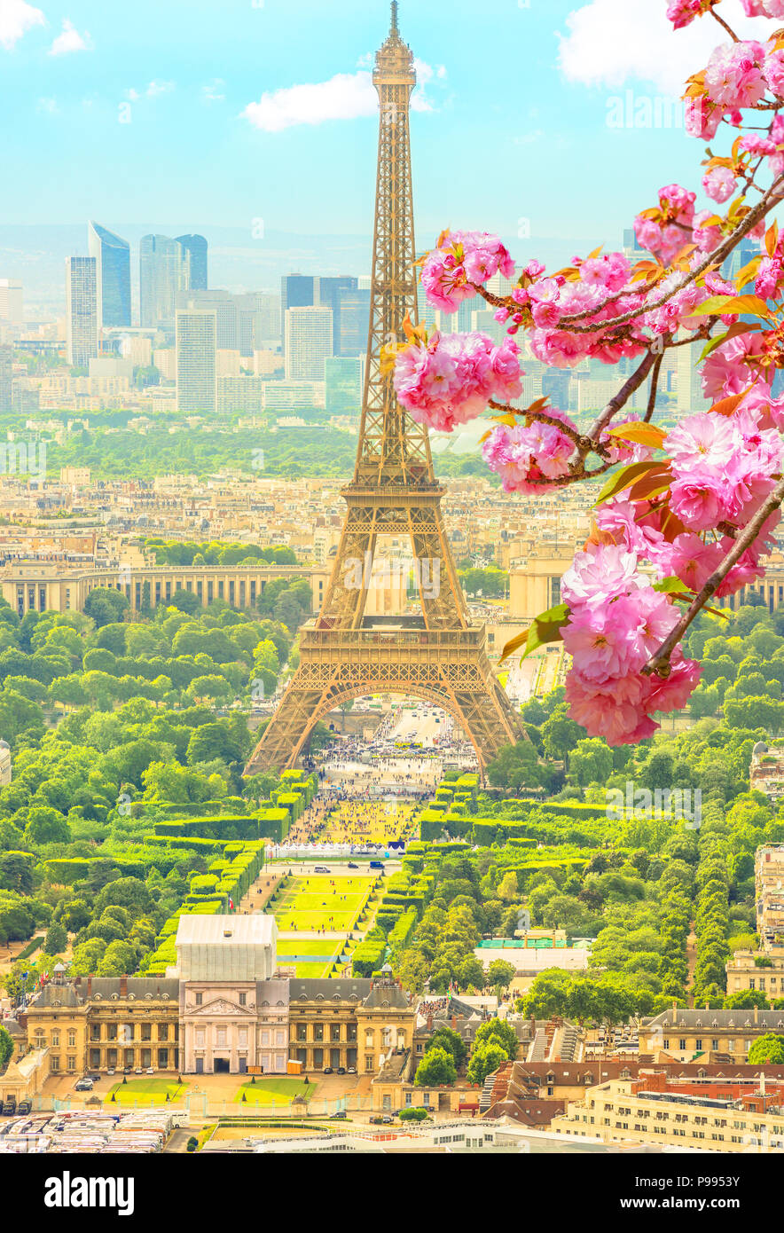 Detail Eiffel Tower Photo Background Nomer 49