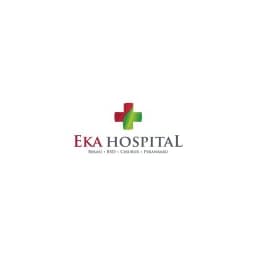 Detail Eka Hospital Logo Nomer 2