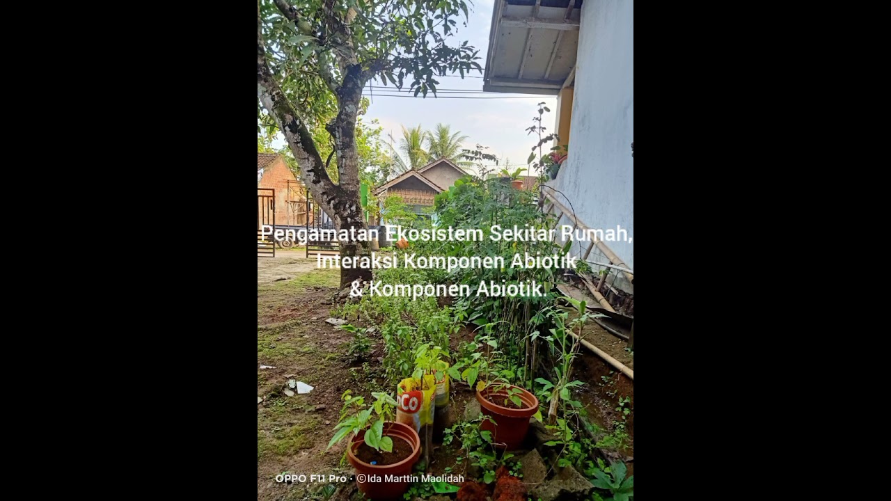 Detail Ekosistem Di Sekitar Rumah Nomer 7