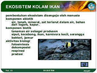Detail Ekosistem Kolam Ikan Nomer 41