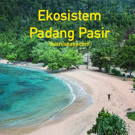 Detail Ekosistem Padang Pasir Nomer 42