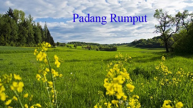 Detail Ekosistem Padang Rumput Nomer 43