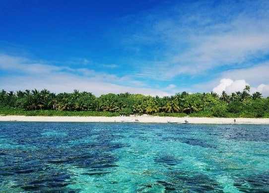 Ekosistem Pantai Batu - KibrisPDR