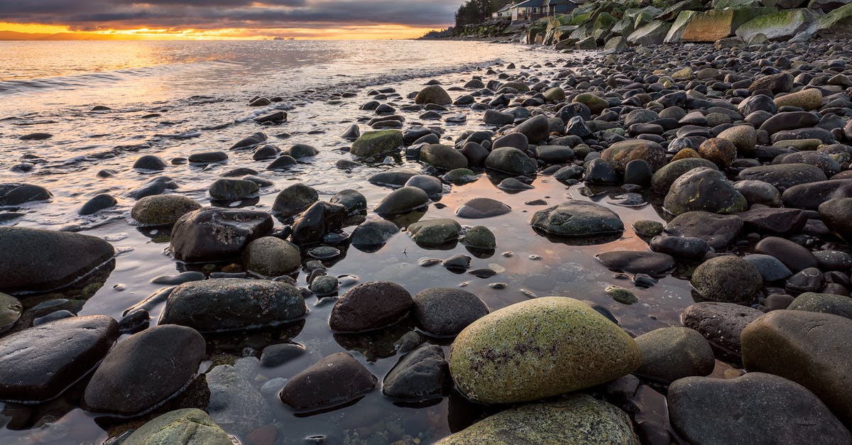 Detail Ekosistem Pantai Batu Nomer 12