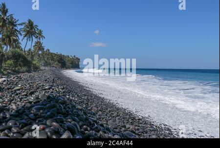 Detail Ekosistem Pantai Batu Nomer 13