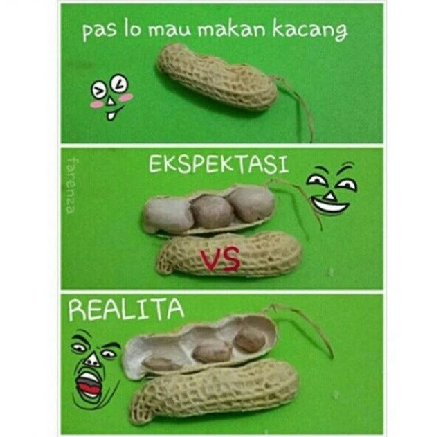 Detail Ekspektasi Vs Realita Quotes Nomer 21