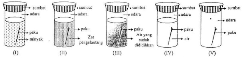 Detail Eksperimen Pada Gambar Nomer 29