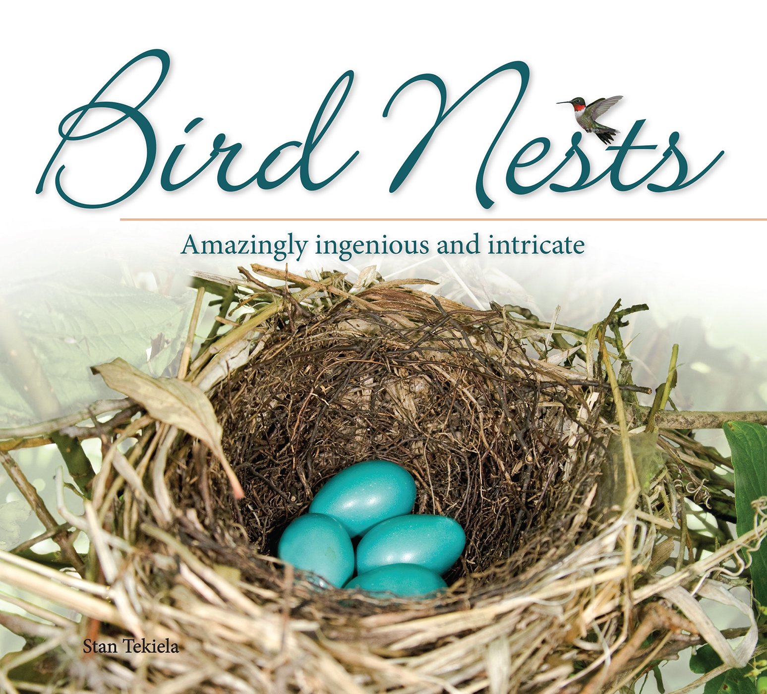 Detail Elaborate Nest Builder Nomer 19