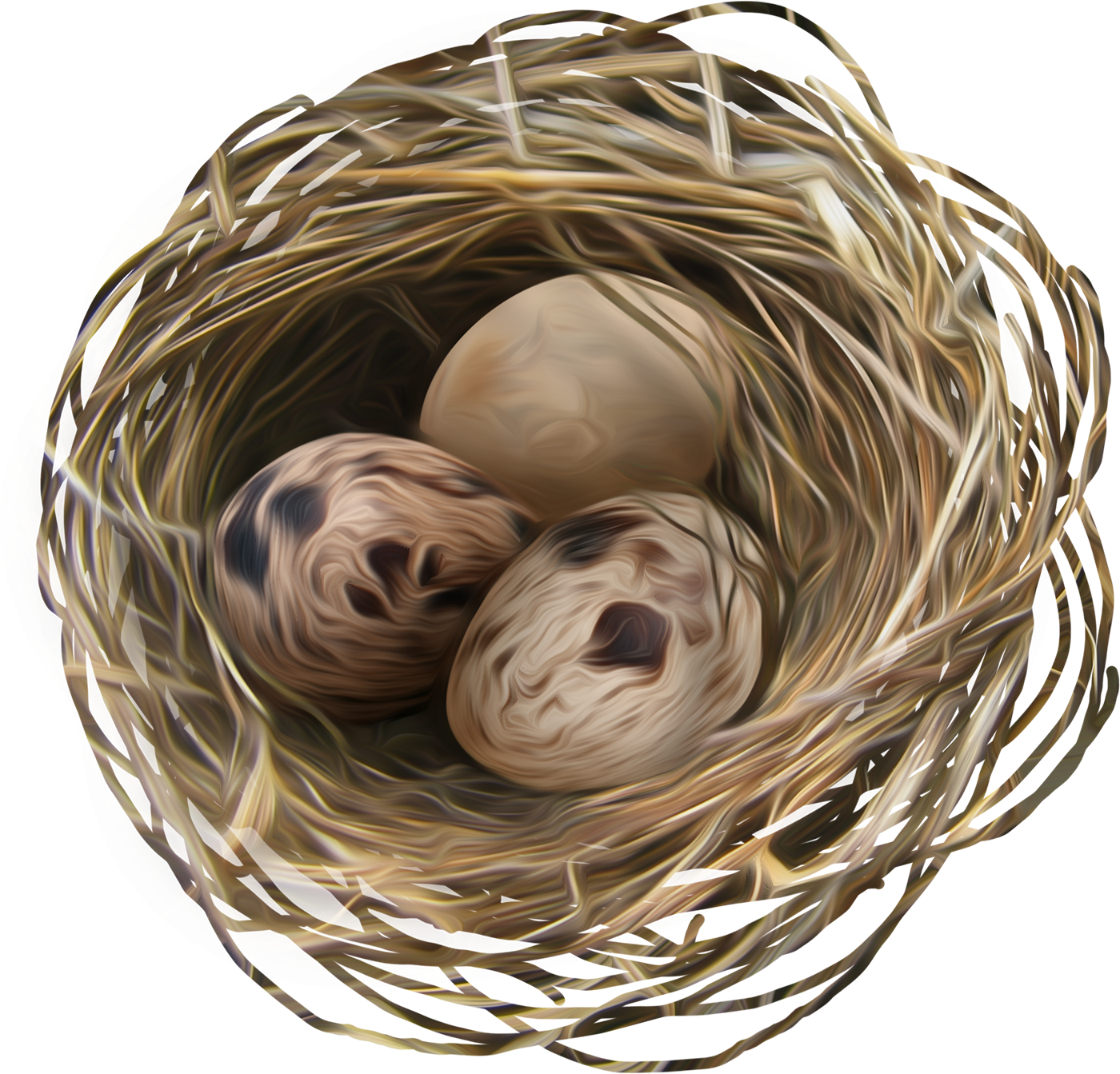 Detail Elaborate Nest Builder Nomer 25