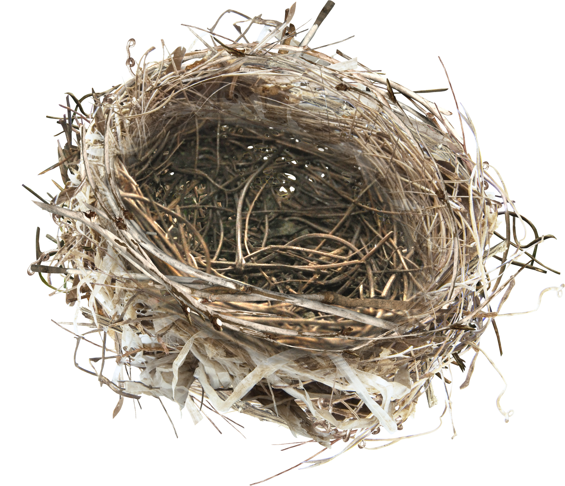 Detail Elaborate Nest Builder Nomer 33