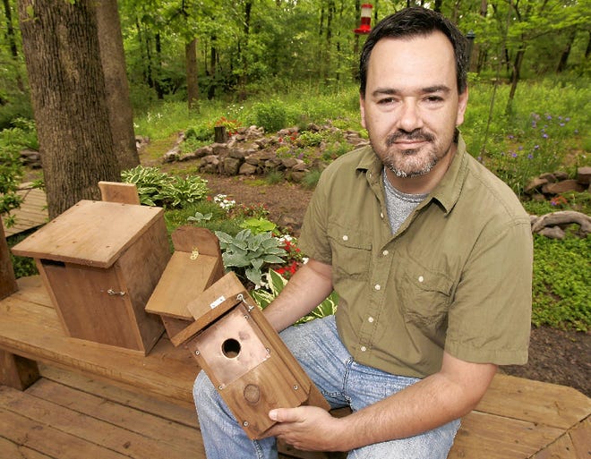 Detail Elaborate Nest Builder Nomer 38