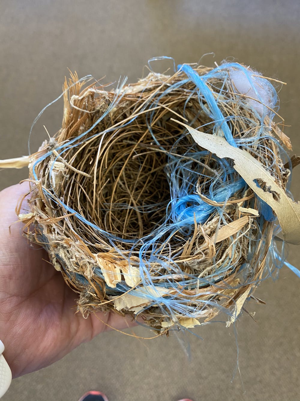 Detail Elaborate Nest Builder Nomer 43