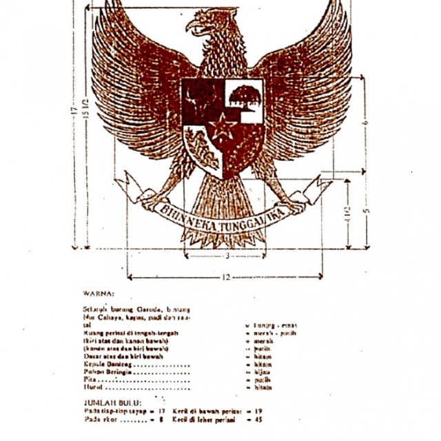 Detail Elang Garuda Rajawali Nomer 37