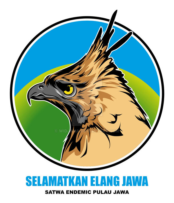 Detail Elang Jawa Vector Nomer 12