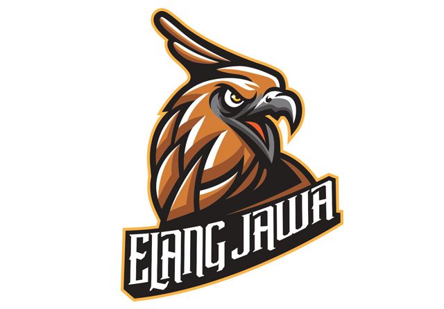 Detail Elang Jawa Vector Nomer 16