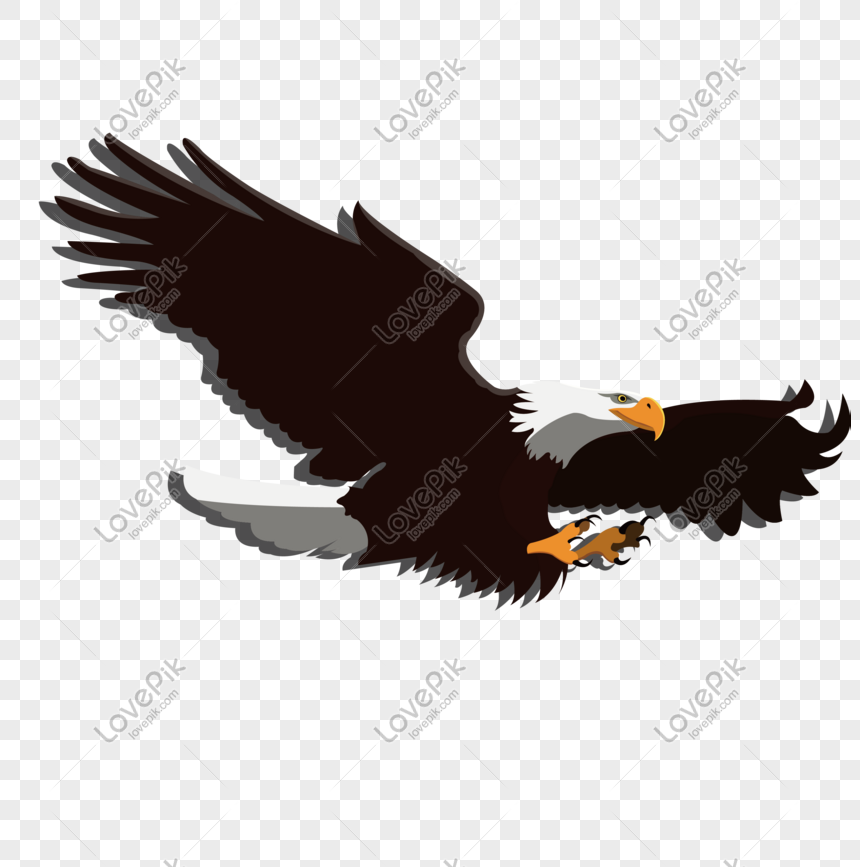 Detail Elang Png Vector Nomer 21