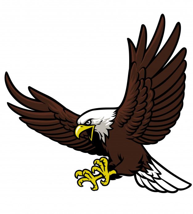 Detail Elang Png Vector Nomer 35