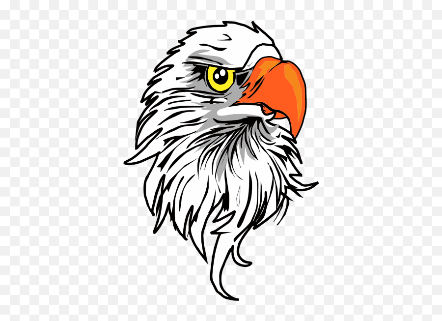 Detail Elang Png Vector Nomer 42
