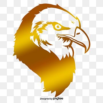Detail Elang Png Vector Nomer 45