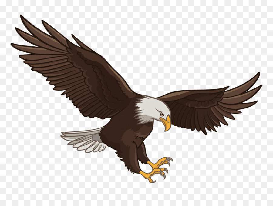 Detail Elang Png Vector Nomer 47
