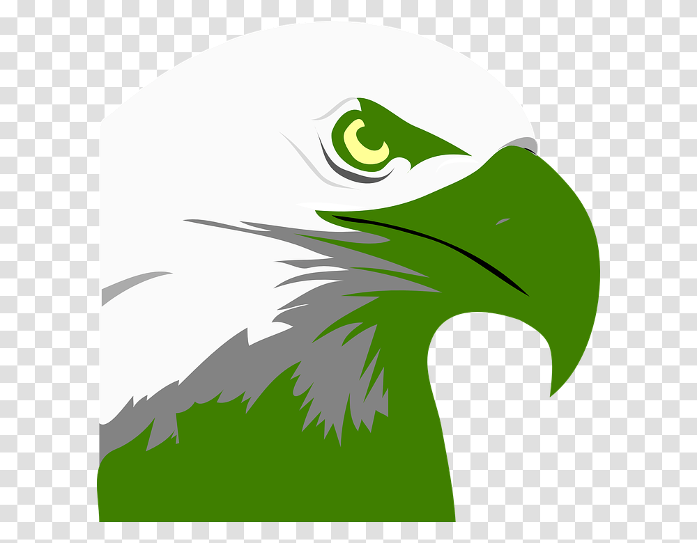 Detail Elang Png Vector Nomer 52