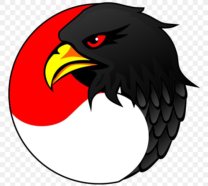 Detail Elang Png Vector Nomer 53