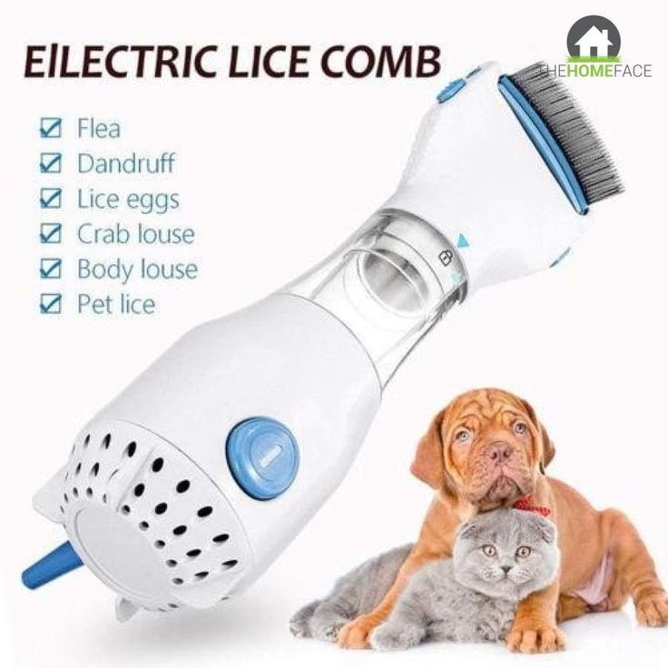 Detail Electric Flea Comb Vacuum Nomer 12