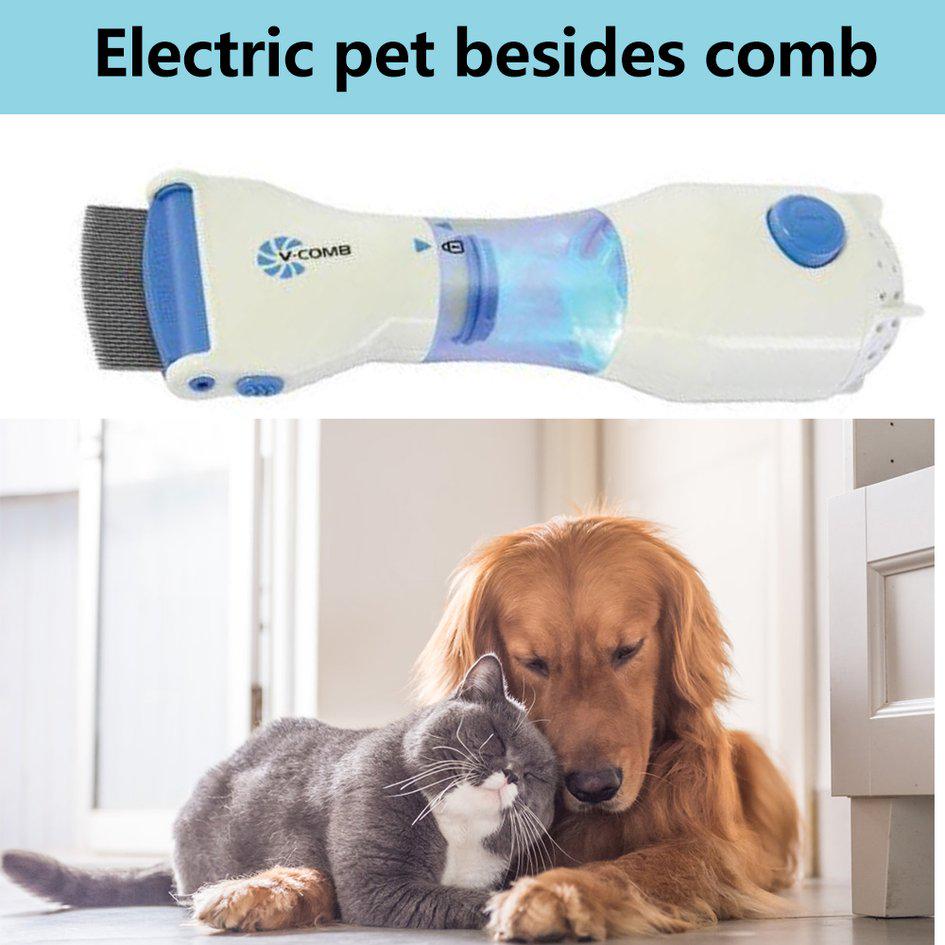 Detail Electric Flea Killer Comb Nomer 47