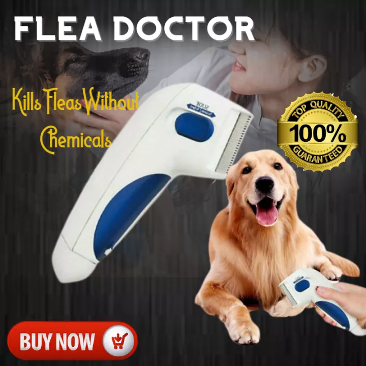 Detail Electric Flea Tick Comb Nomer 44