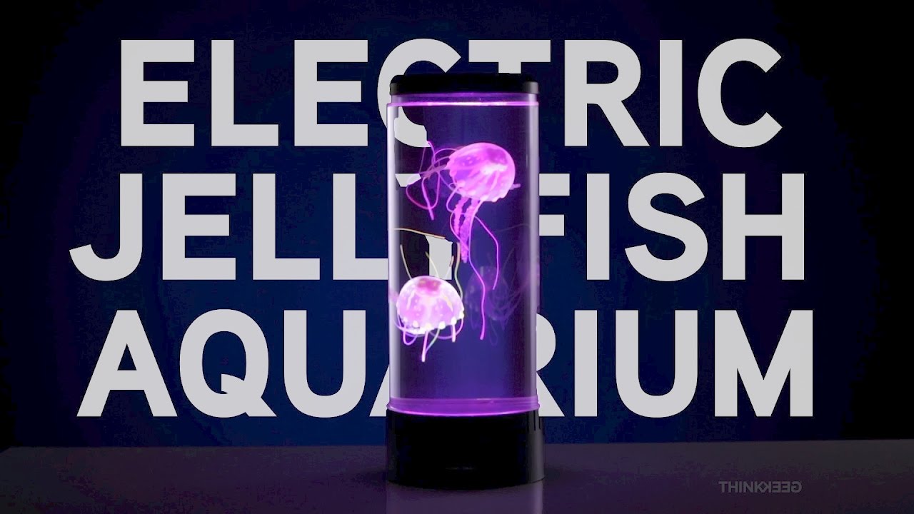 Detail Electric Jellyfish Aquarium Nomer 22