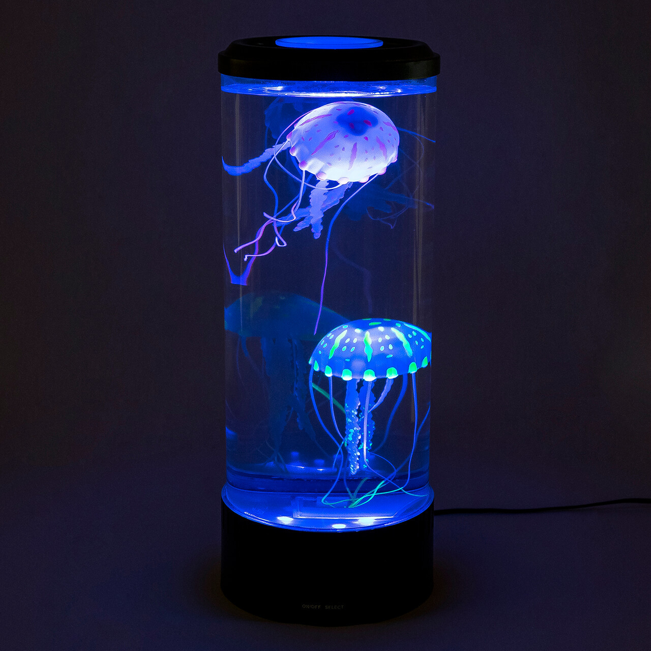 Detail Electric Jellyfish Aquarium Nomer 28