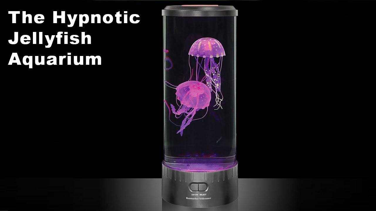 Detail Electric Jellyfish Aquarium Nomer 33