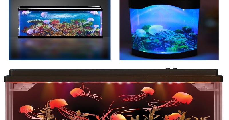 Detail Electric Jellyfish Aquarium Nomer 57