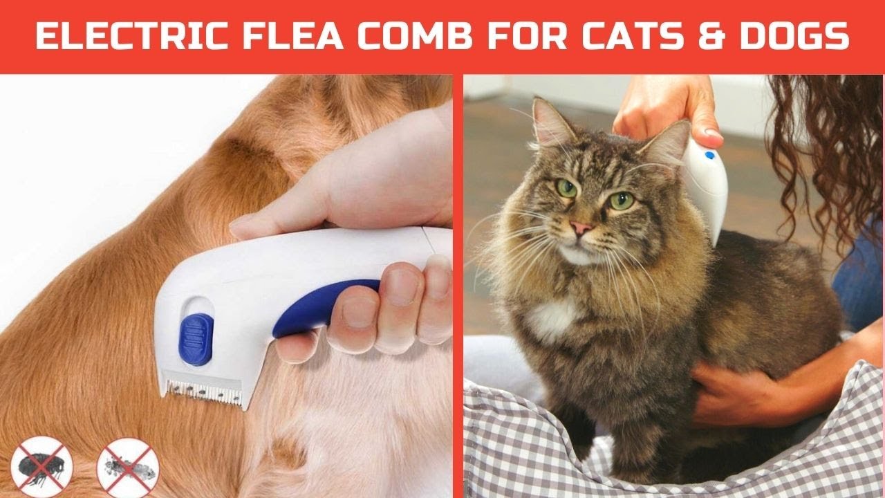 Detail Electronic Flea Comb For Cats Nomer 15