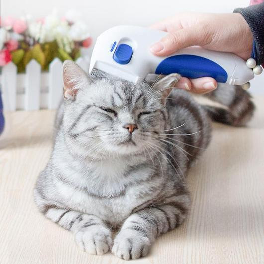 Detail Electronic Flea Comb For Cats Nomer 26