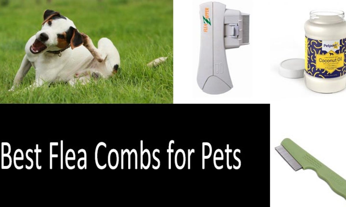 Detail Electronic Flea Comb For Cats Nomer 41