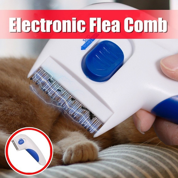 Detail Electronic Flea Comb For Cats Nomer 47