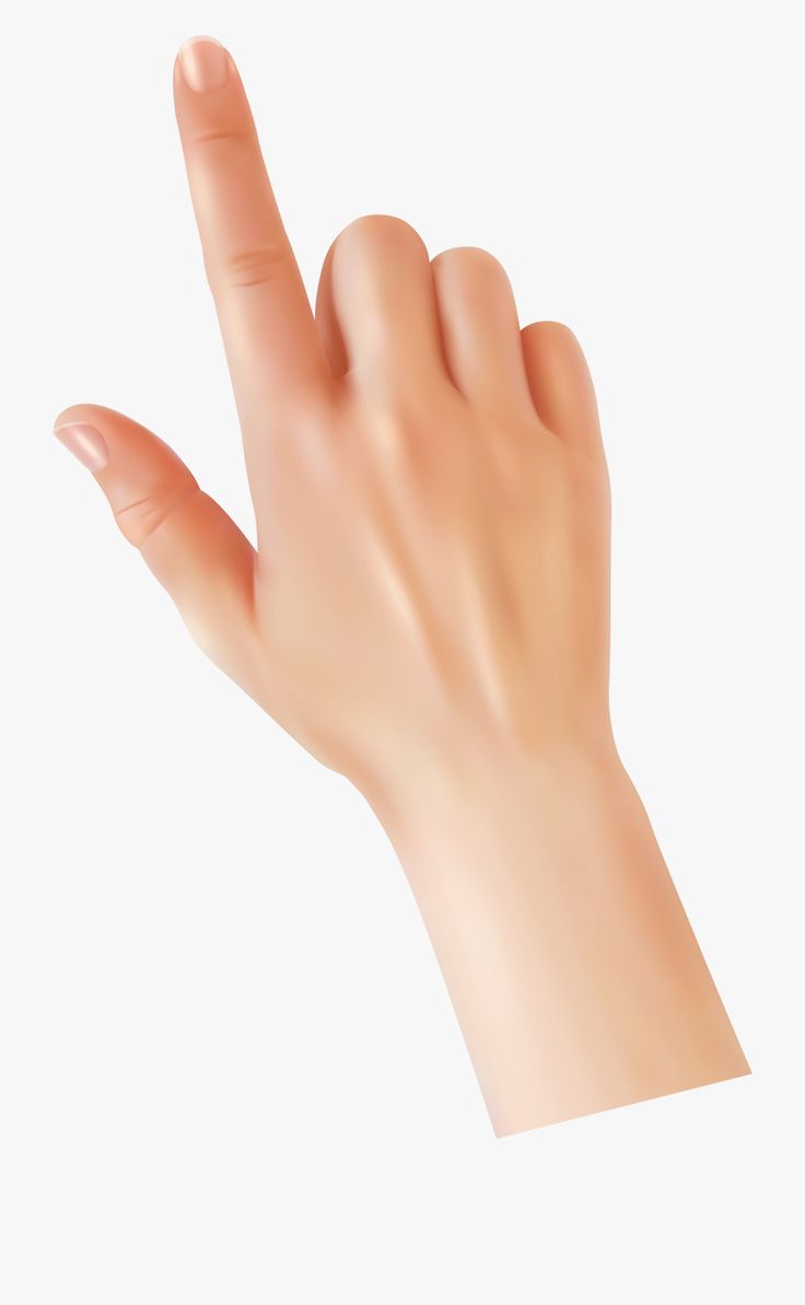 Detail Finger Hands Nomer 8