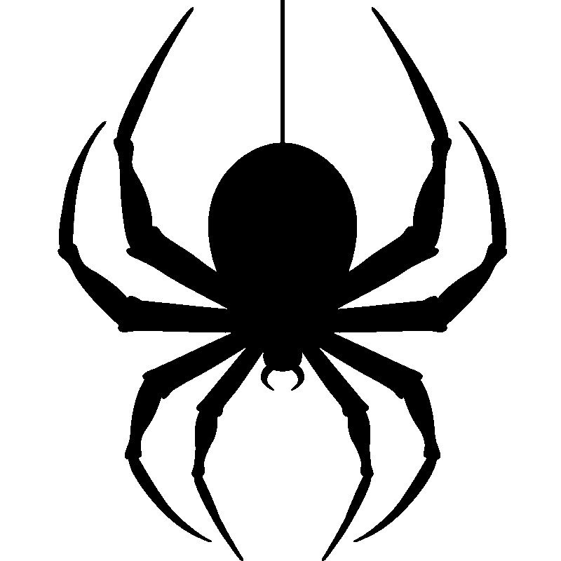 Detail Spider Png Nomer 5