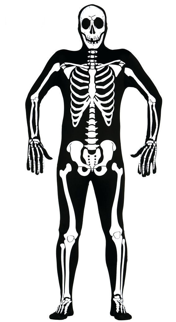 Detail Zeichnung Skelett Nomer 7