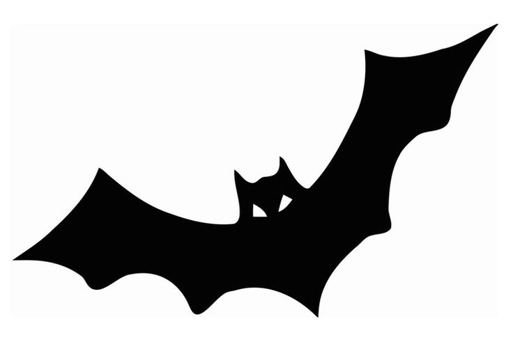 Clipart Fledermaus - KibrisPDR