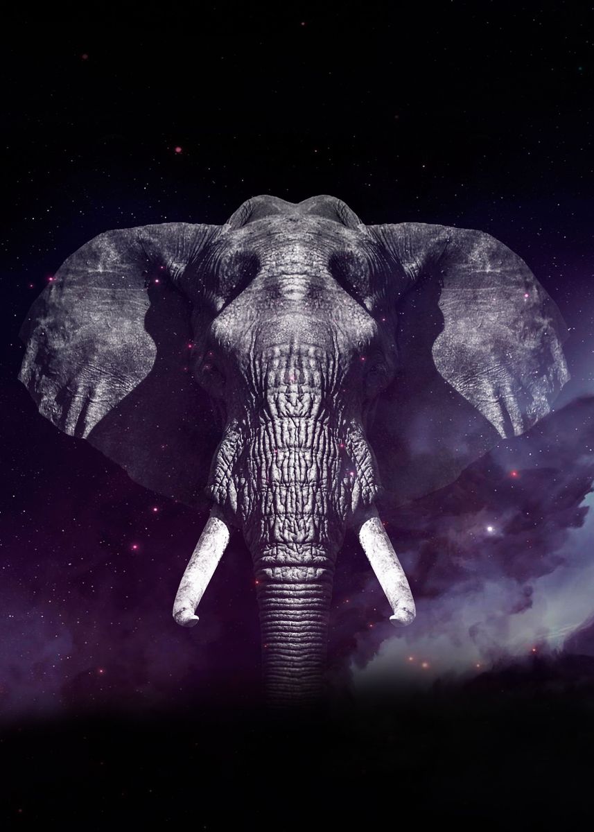 Detail Elephant Background Nomer 19