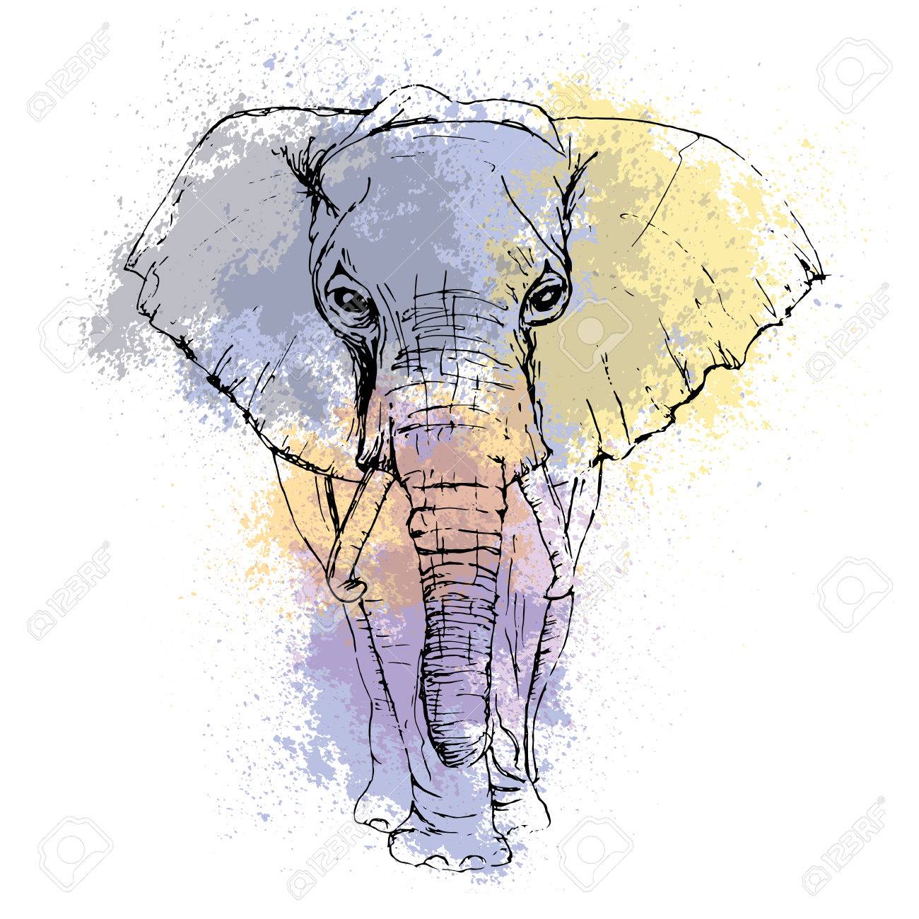 Detail Elephant Background Nomer 30