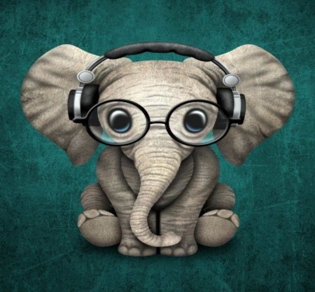 Detail Elephant Background Nomer 38