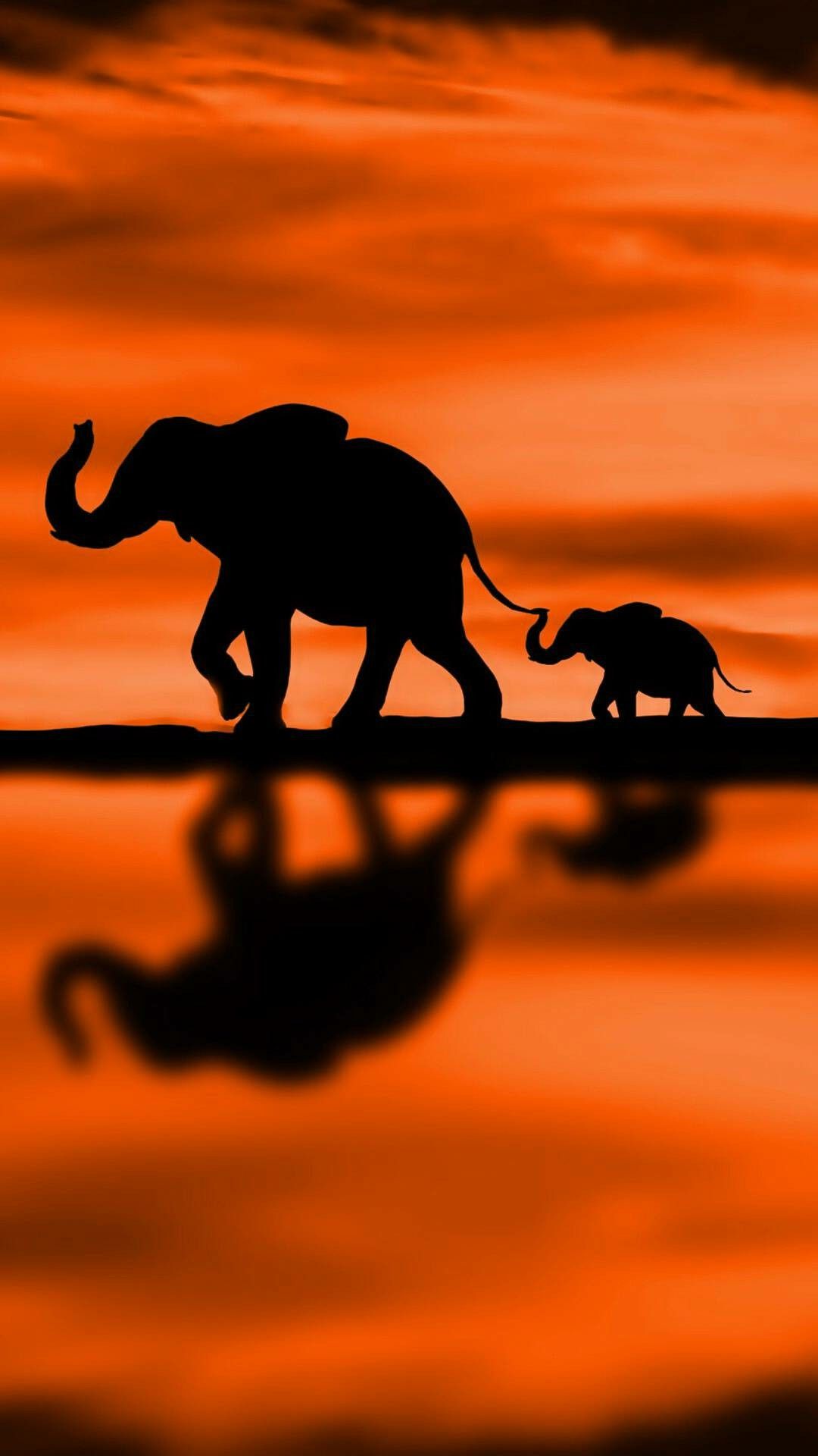Detail Elephant Background Nomer 9