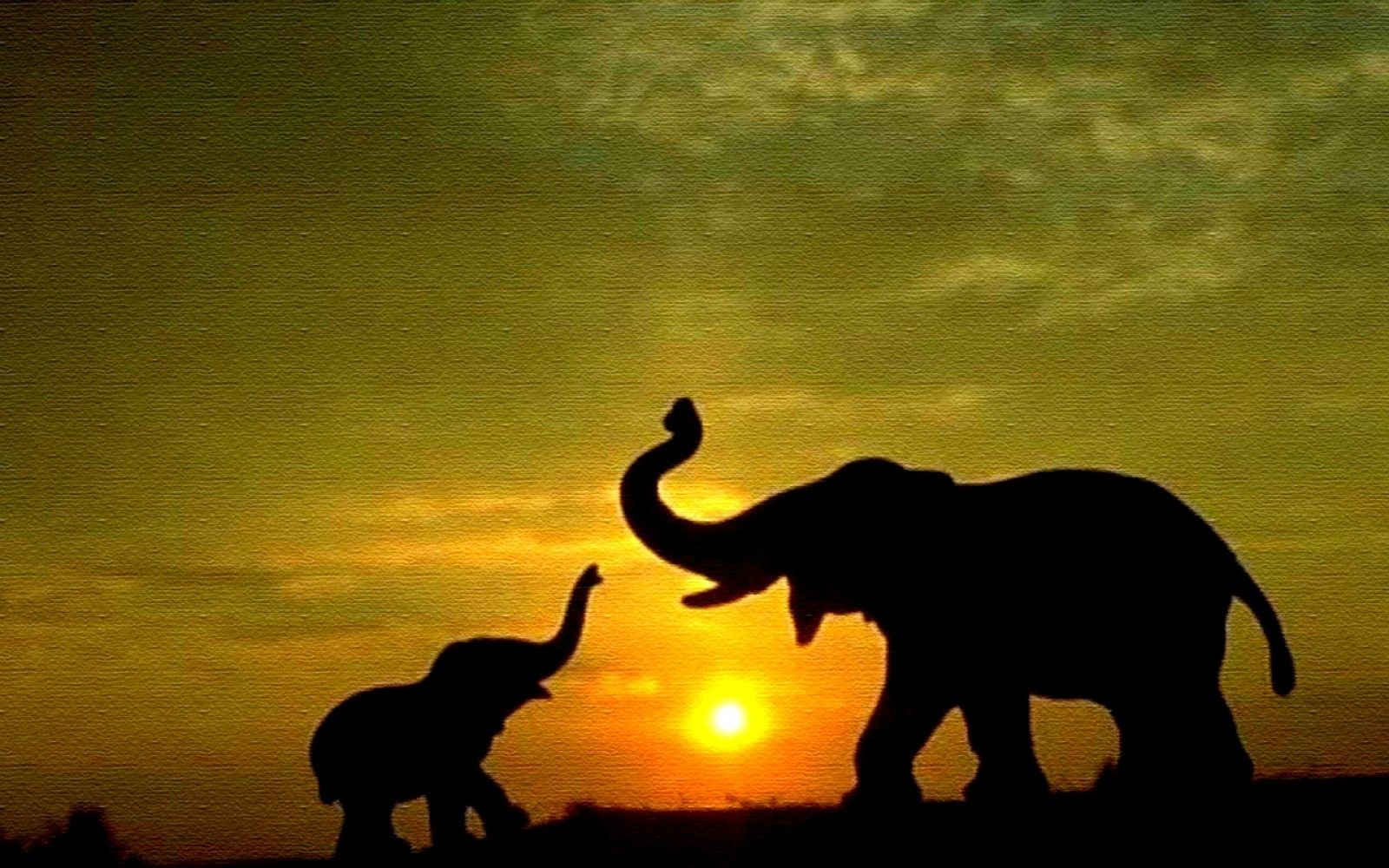 Detail Elephant Background Nomer 10