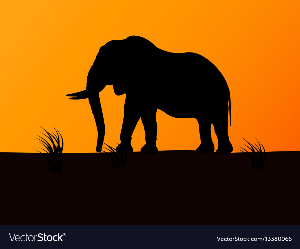 Download Elephant Background Images Nomer 23